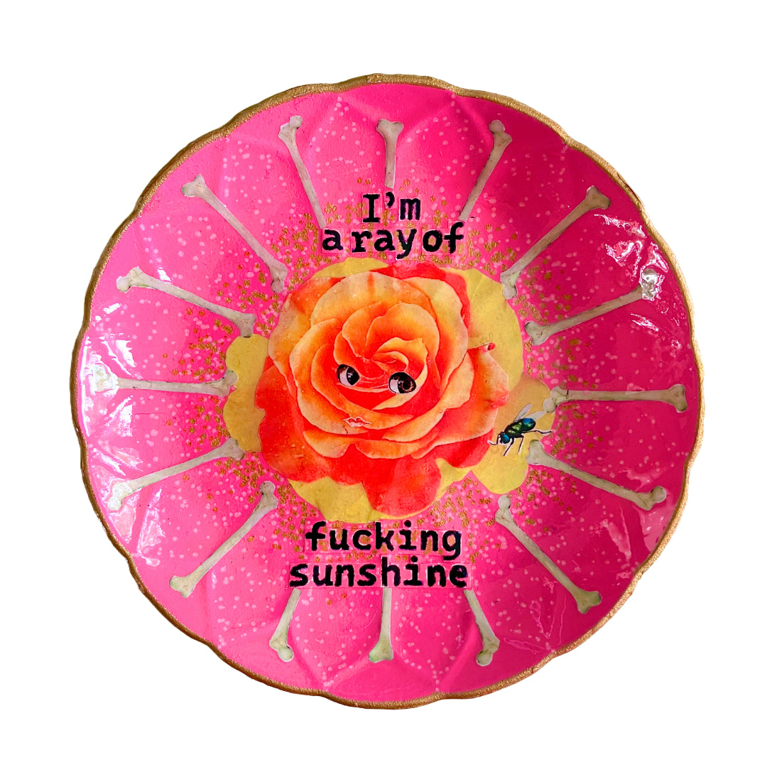 "I'm a Ray of Fucking Sunshine" Pink Wall Plate by House of Frisson, featuring an orange rose with eyes, bones, and a fly.