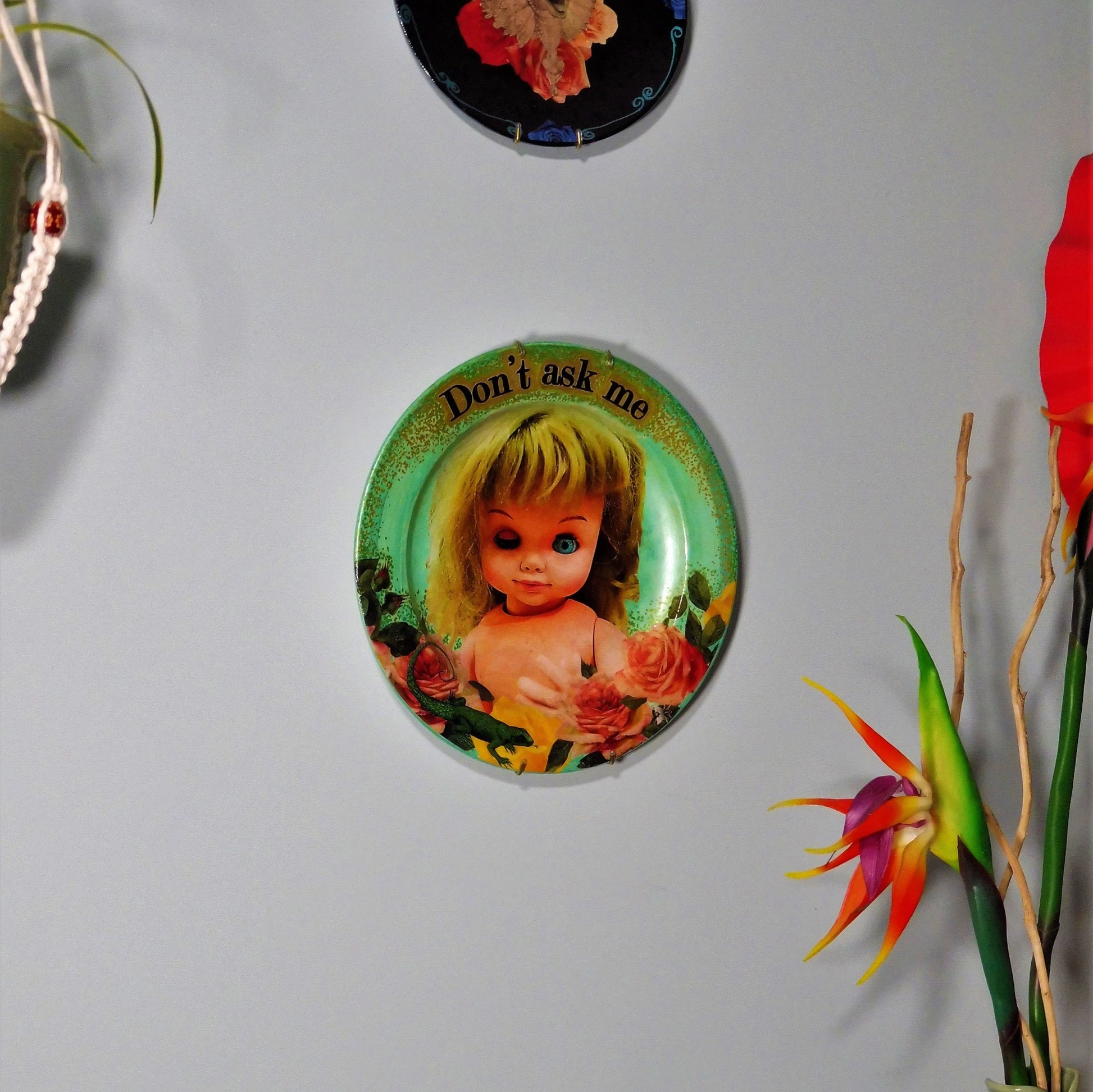 House of Frisson "Don't Ask Me" Green Wall Plate Front. Collage artwork featuring a vintage doll with funny face, surrounded by roses, and a lizard. Showing plate hanging on a wall with other plates.